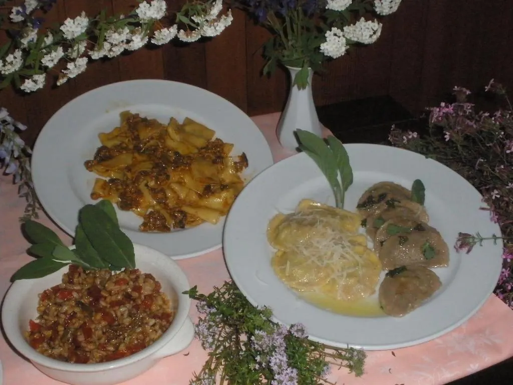 Hotel Delle Alpi Vagli di Sotto 3*,